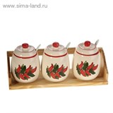 Набор банок для сыпучих продуктов 300 мл с ложками &amp;quot;Чили&amp;quot; на подставке, 3 шт.