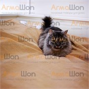 Электроодеяло BL-1B - фото 20224