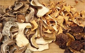 Сушилка для овощей, фруктов и грибов - фото 21353