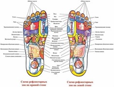 Тапочки рефлекторные "Сила Йоги"  (Spring Acupuncture Massage Slippers) - фото 24828