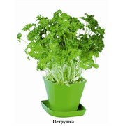 Набор для выращивания пряных растений Tescoma Sense - фото 24898